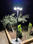 Lampe solaire jardin 300W - Photo 4
