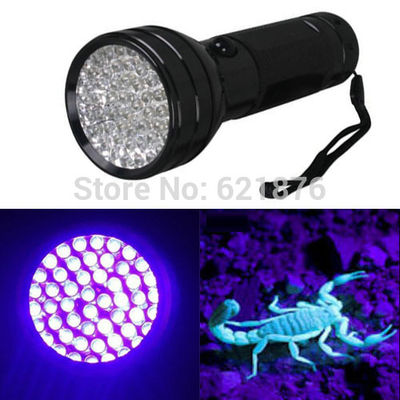 Lampe uv permet de voir les scorpions la nuit mais pas que...
