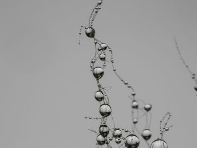 Langzeit Wasserspeicher Granulat, Pflanzengranulat, Hydrogel - Foto 3