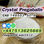 Large Crystal Pregabalin cas 148553-50-8 - Photo 5