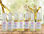 Lavendelöl mit ätherischem Lavendelöl im Großhandel - 1