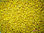 Ldpe Recyclé perle couleur jaune - Photo 2
