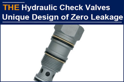Leakage in hydraulic check valves troubled Cuenca for 2 years, and AAK solved it