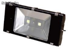 led flood light , led para intemperie tipo reflector 100w Tg012-1