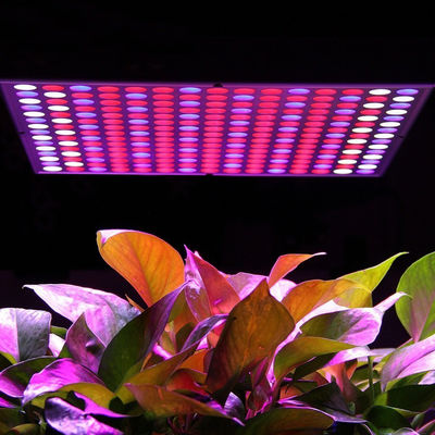 Led Hydroponic Plant Grow Light 14W - us - Photo 5
