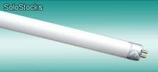 Led tubos t5 60cm 8w