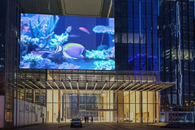 LED videowand transparente für Glaswände