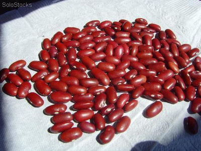 Legumes - fejao vermelho