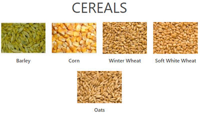 Lenteja , arveja , garbanzo y cereales importados de canada - Foto 3