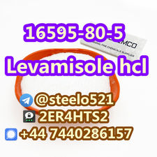 Levamisole Hydrochloride CAS 16595-80-5 @steelo521