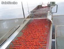 ligne machine de production de concentre de tomate