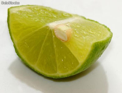 Limón Mexicano.