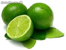 Limon Persa, Limon sin semilla