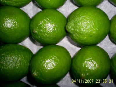 Limon Persa, Limon sin semilla - Foto 2