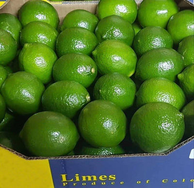 Limon tahiti o lima persa ( tahiti lemon or persian lime)