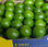 Limon tahiti o lima persa ( tahiti lemon or persian lime) - 1