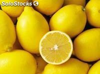 limones frescos para la venta