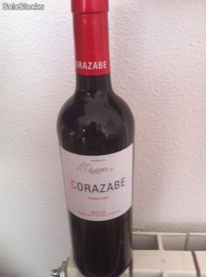 lot de 6 bouteilles 750ml de vin Rioja Crianza 2009