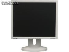 Lote 10 Uds.Monitor tft 19&#39;&#39; Samsung 191t