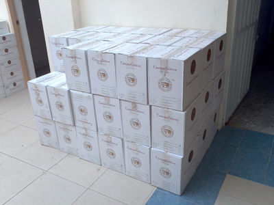 Lote de 20 cajas de Vino Tinto Campos Goticos Roble 9 Meses 750Ml. - Foto 2