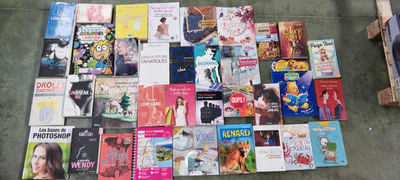 Lote libros, revistas y películas en francés