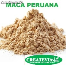 Maca peruana polvo