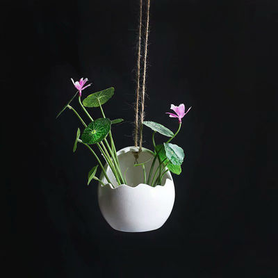 Maceta suculenta de cerámica esmaltada mini forma de animal decoración de hogar - Foto 2