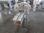 Machine coupeuse de côtes de porc SLAHOMA - Photo 4