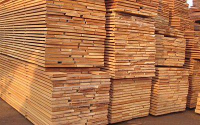 madera de caoba atlantica