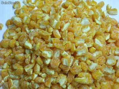 Maiz amarillo en peto en bultos de 50 kilos