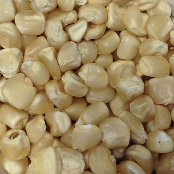maiz-trillado-blanco-a-granel, comprar online
