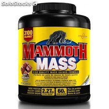 Mammoth Mass Gainer 3100 calories par jour (chocolat)