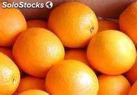 mandarina fresca