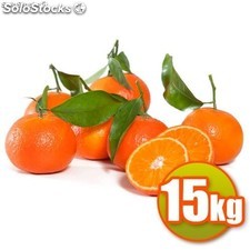 Mandarinas de valencia caja de 15kg
