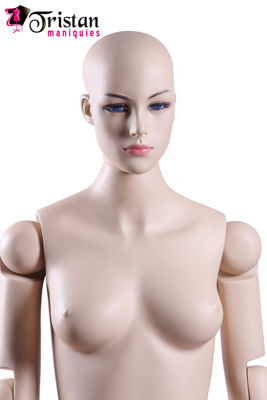 Mannequins femelles entièrement articulable - Photo 5