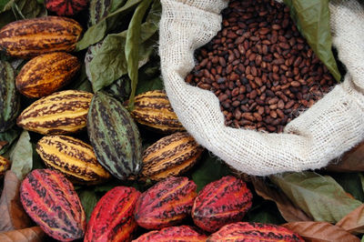 Manteca de cacao - convencional, orgánica y ecológica - Foto 2