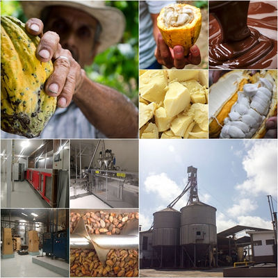 Manteca de cacao - convencional, orgánica y ecológica - Foto 3