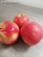Manzanas frescas de exportacion