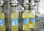 Maquilladora automática de llenado de aceite de maíz - Foto 4