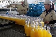 Máquina automática de llenado de bebidas de jugo fresco