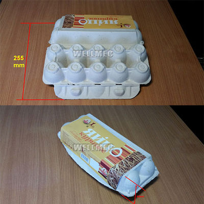 Máquina de etiquetado de cartón de huevos de plana superficie superior - Foto 3
