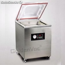 Máquina de vacío para envasado de alimentos selladora vacío alimentos DZ400/2G