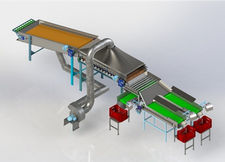 Máquina para Beneficiamento de Cebola