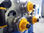Máquina roladora de tubo 3&amp;quot; roladoras de perfiles usadas - Foto 3