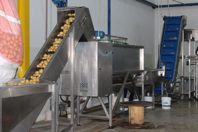 Máquinas Linha Contínua Batata Chips e Palha 600 kg/h - Foto 4
