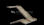 Marbre quipar gris Dalles 60x30x2 Brut - Photo 3
