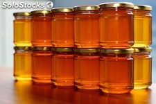 Mariscos y Miel de abeja