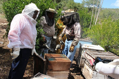 Mariscos y Miel de abeja - Foto 2