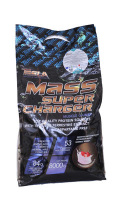 Mass Super Charger 8 Kg