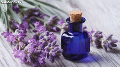 Massageöl mit ätherischem Lavendelöl im Großhandel - Foto 2